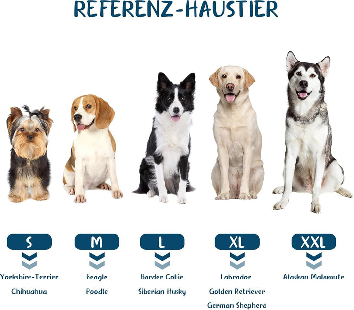 BASVII Hundebademantel aus Mikrofaser, Bademantel Hund Extra SaugfäHig und Schnell Trocknendes mit K