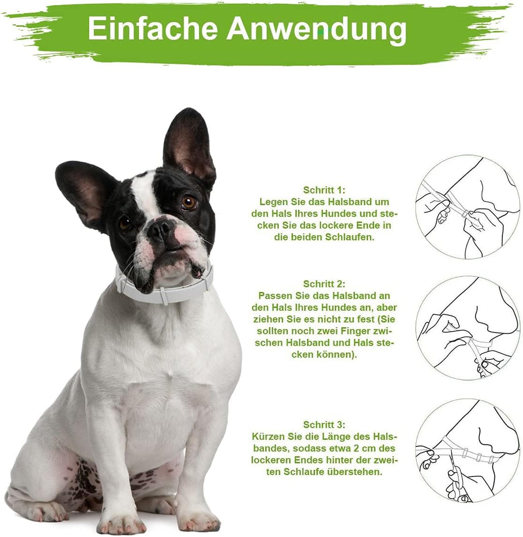 MC-Royal® Zeckenhalsband für kleine Hunde und Katzen - Effektiver Schutz vor Ungeziefern - wasserdic