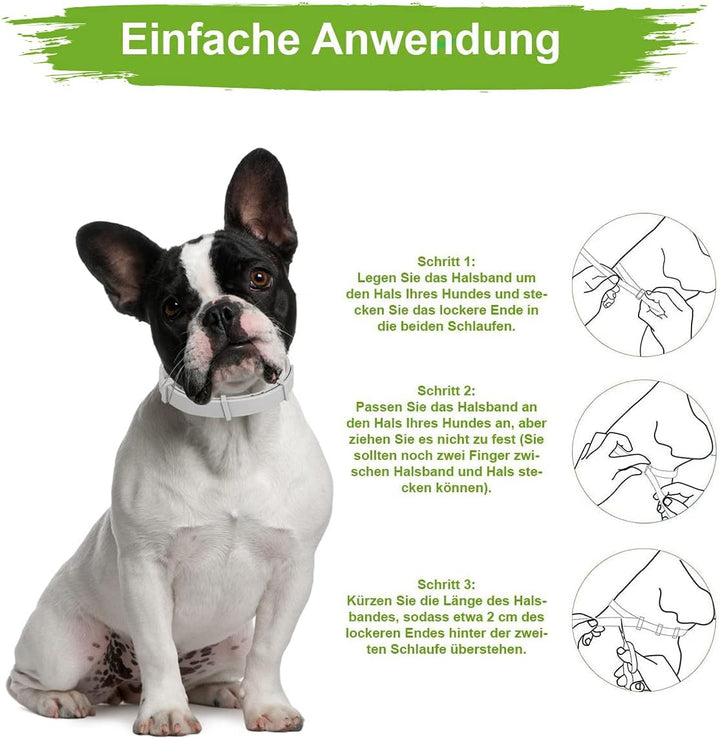 MC-Royal® Zeckenhalsband für kleine Hunde und Katzen - Effektiver Schutz vor Ungeziefern - wasserdic