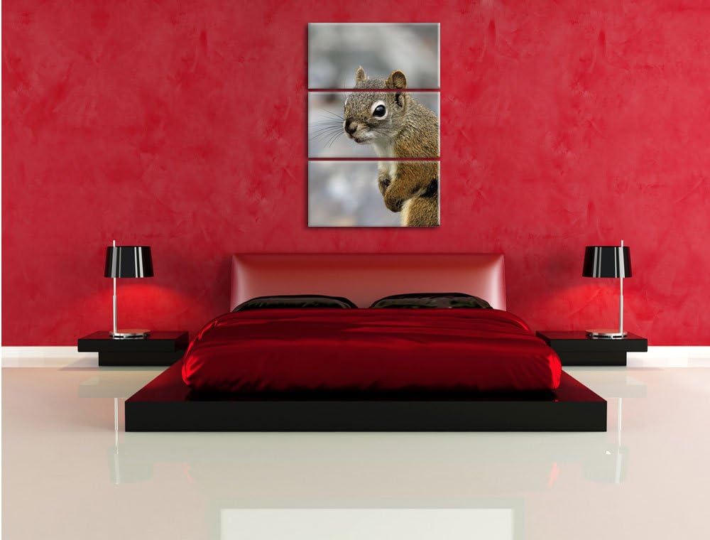 Pixxprint kleines wachsames Eichhörnchen als Leinwandbild/Grösse: 3 Teilig (120x80) cm/Wandbild/Kuns