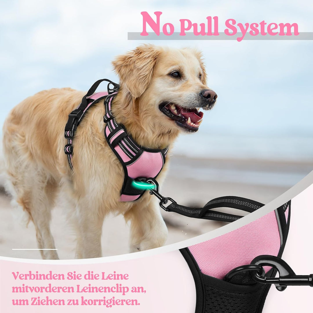 rabbitgoo Hundegeschirr Mittelgrosse Hunde, Anti Zug Geschirr mit Kontrolle, No Pull Verstellbar Hun