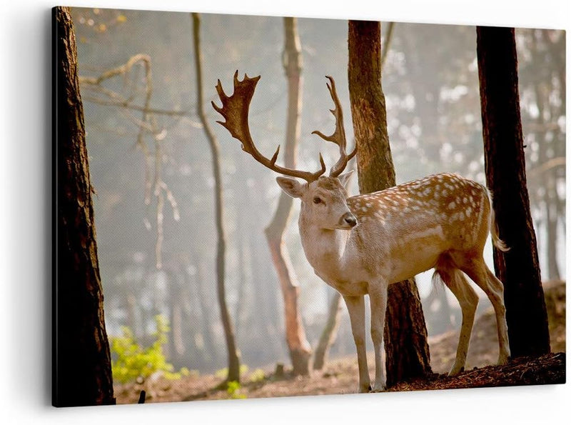 ARTTOR Bilder auf Leinwand 100x70cm Leinwandbild Kitz Hirsch Tier wild Gross Wanddeko Bild Schlafzim