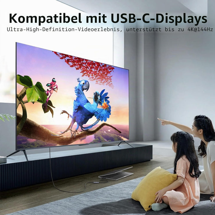 8K@30Hz / 4K@144Hz DisplayPort-auf-USB-C-Adapter mit PD 65W-Ladefunktion, Graphit-Kabel, DisplayPort