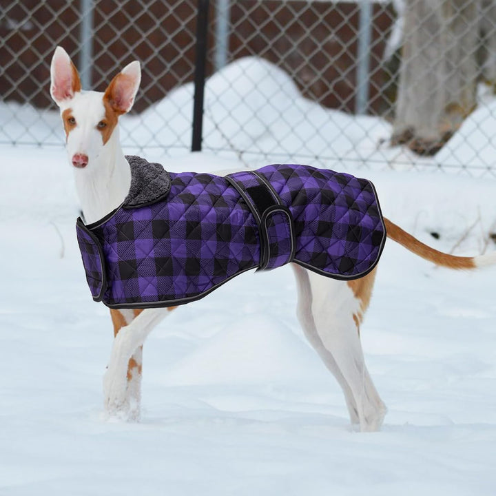 Geyecete Wasserdichter Hundemantel,Windhund Mantel,Whippet Hundejacke Winter,mit Warmem Fleecefutter