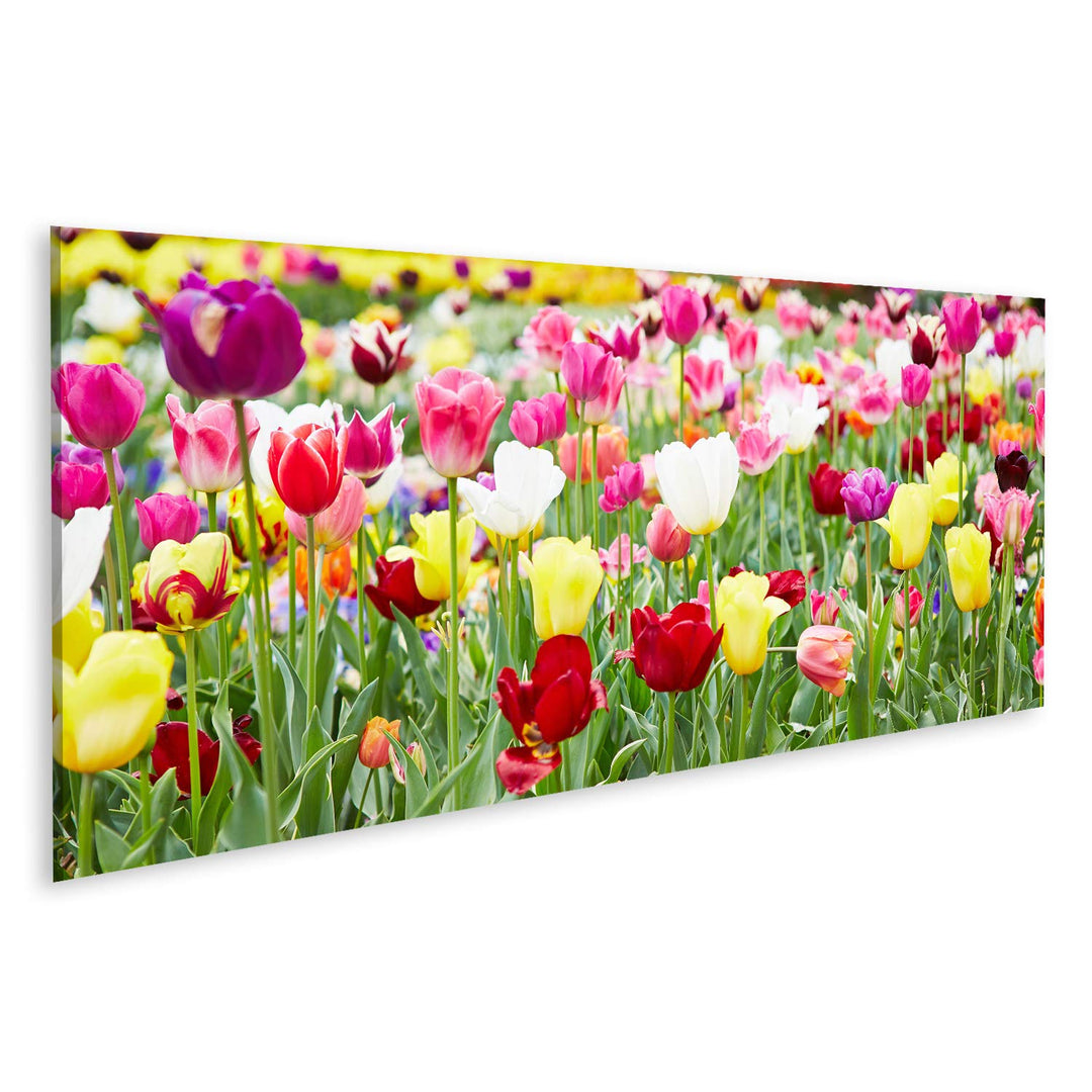islandburner Bild auf Leinwand Verschiedene Blumen Und Blühende Tulpen Bilder Wandbilder Poster Lein