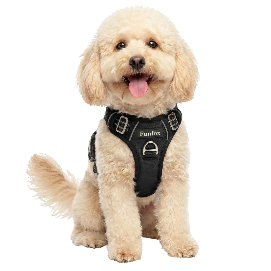 Funfox Hundegeschirr Kleine Hunde No Pull Welpengeschirr Einstellbar Hundegeschirr Anti Zug Sicherhe