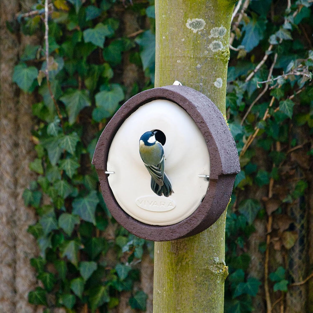 CJ Wildlife Nistkasten – wetterfest mit Marderschutz – Vogelnistkasten für Meisen, Sperlinge und Kle