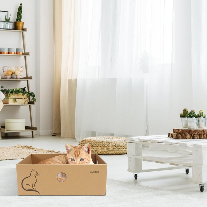 AUSCAT Kratzbrett Katze mit Box, 4 STK. Doppelseitige Kratzpappe für Katzen, Wellpappe Kratzbrett fü