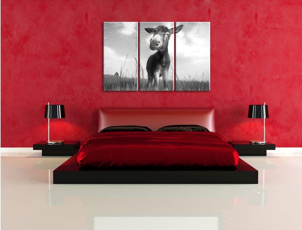 Pixxprint Esel im Feld / 3-Teilig/Gesamtmass 120cm Leinwandbild bespannt auf Holzrahmen/Wandbild Kun