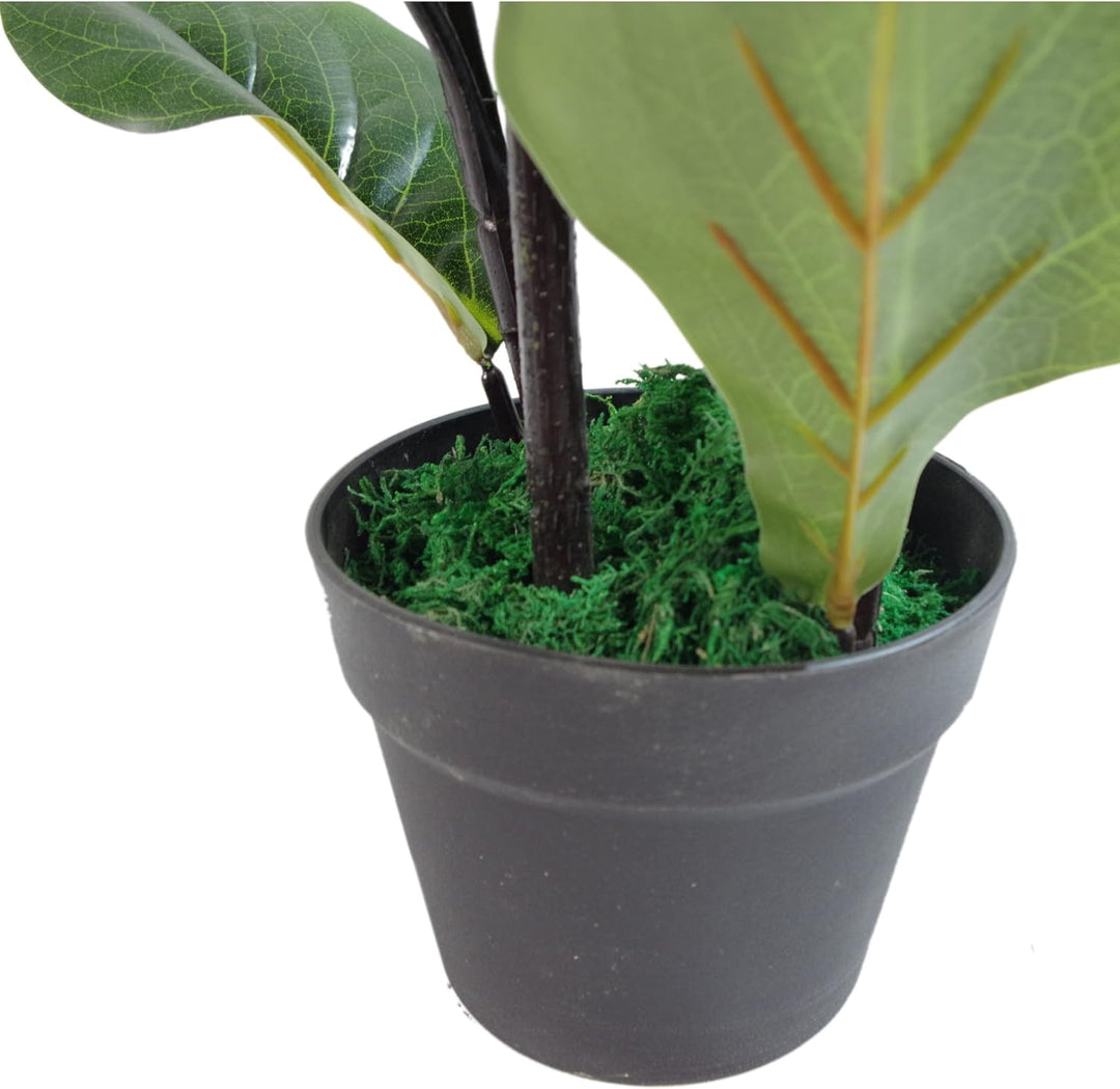 Leaf Design UK Künstliche Pflanze Fiddle Fig Baum, schwarzer Kunststofftopf, 90 cm 90cm (3ft) Fiddle