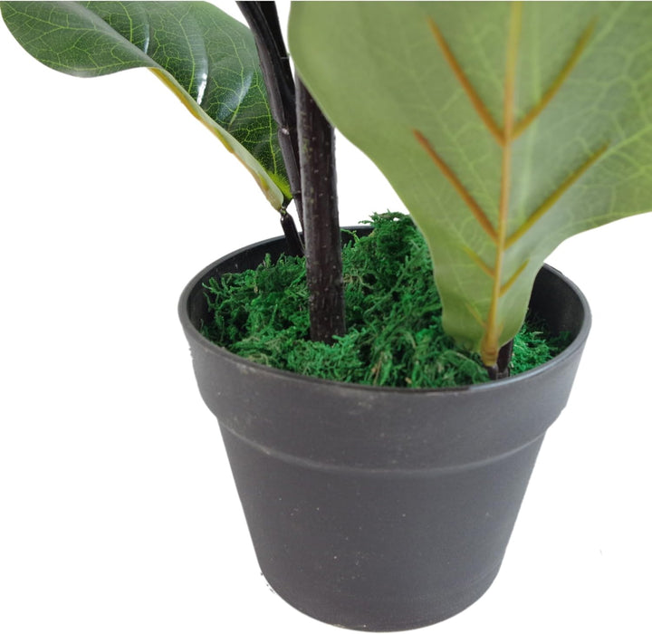 Leaf Design UK Künstliche Pflanze Fiddle Fig Baum, schwarzer Kunststofftopf, 90 cm 90cm (3ft) Fiddle