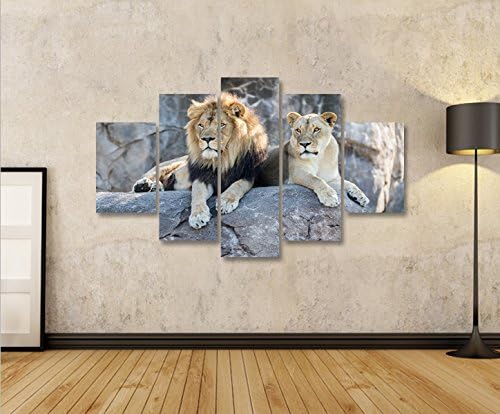 islandburner Bild Bilder auf Leinwand Löwen Paar V2 MF XXL Poster Leinwandbild Wandbild Dekoartikel