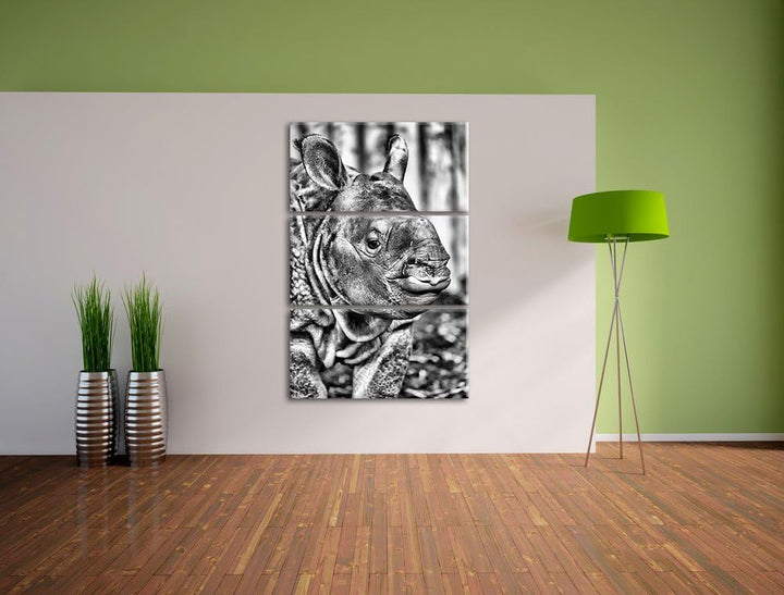 Pixxprint schönes Nashornjunges als Leinwandbild/Grösse: 3 Teilig (120x80) cm/Wandbild/Kunstdruck/fe