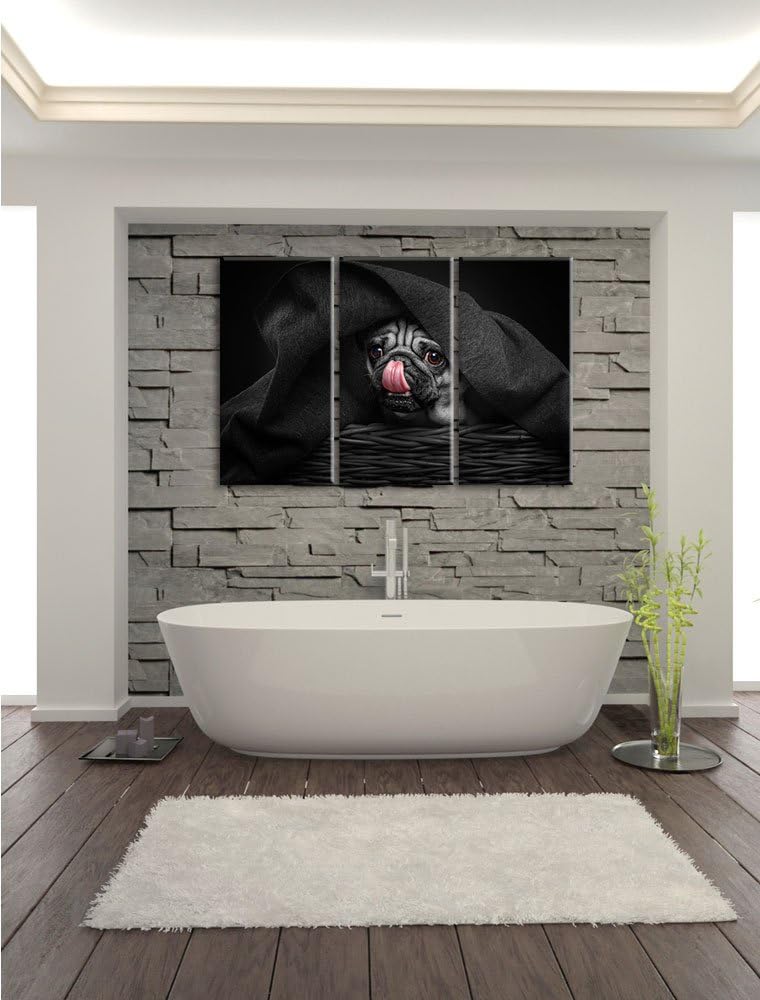 Pixxprint Süsser Mops unter der Decke als Leinwandbild/Grösse: 3 Teilig (120x80 cm) cm/Wandbild/Kuns