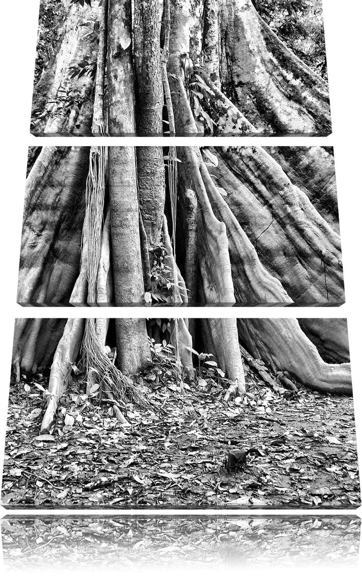 Pixxprint Mächtiger Urwald Baum als Leinwandbild/Grösse: 3 Teilig (120x80) cm/Wandbild/Kunstdruck/fe