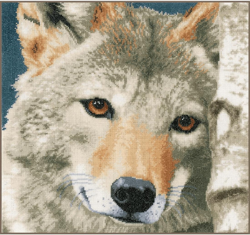 Lanarte Zählmusterpackung Wolf Zählstoff Kreuzstichpackung, Baumwolle, Mehrfarbig, 35 x 35 x 0.3 cm,