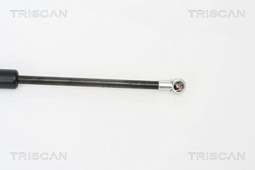 Triscan 871016242 Gasfeder Kofferraum