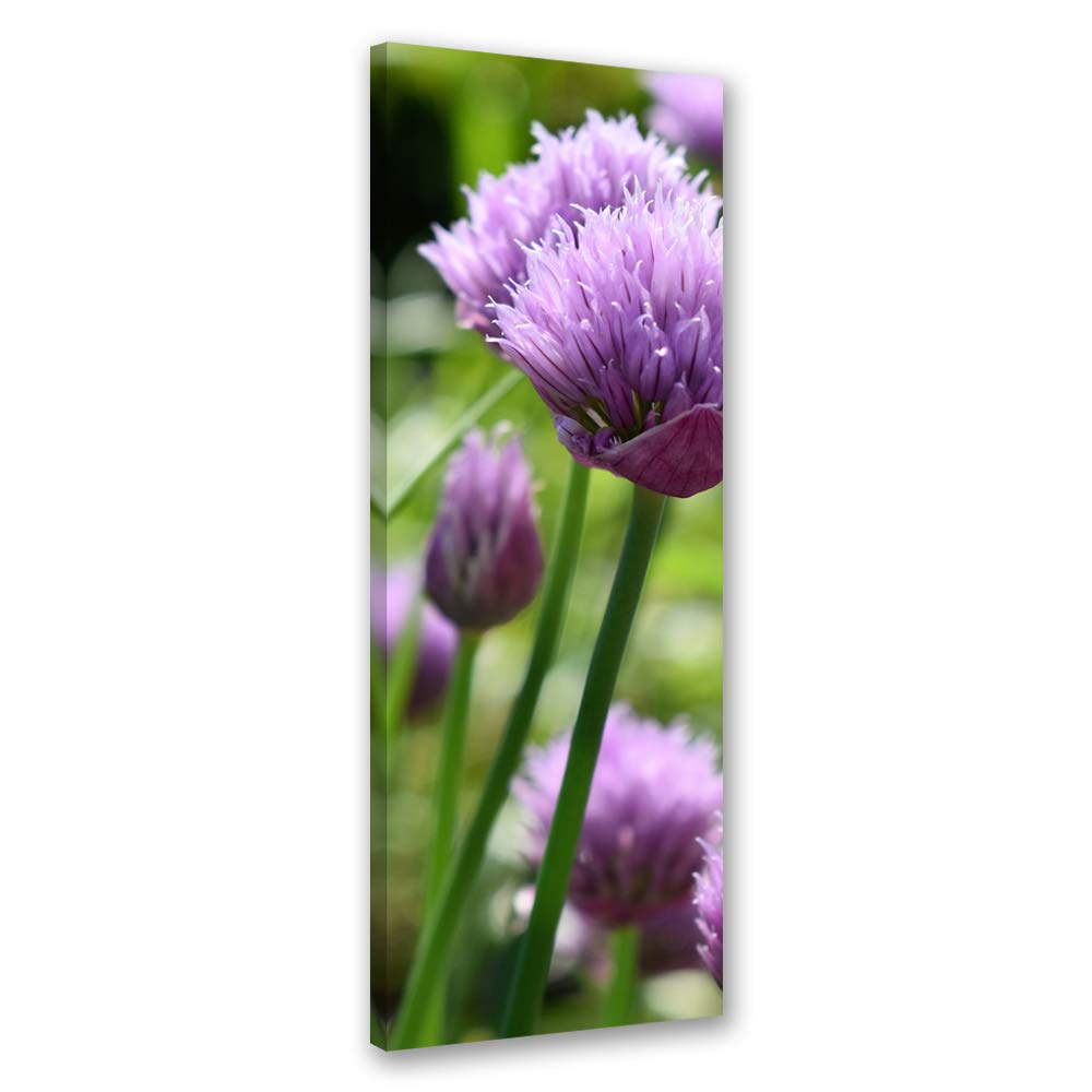 Leinwandbild XXL Garten Wandbild Kunst Blumen Violett 60x150 cm Leinwandbild 60x150 cm Violett_c, Le