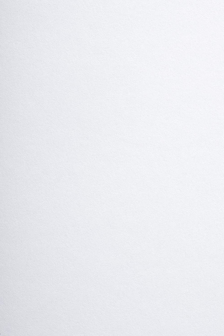 Netuno 20x Bastelkarton DIN A4 21 x 29,7 cm 580g Arena Smooth White weisser Naturkarton dicker Karto