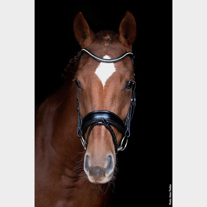 Schockemöhle Stanford Anatomic Snaffle Bridle Schwarz VB, Schwarz VB