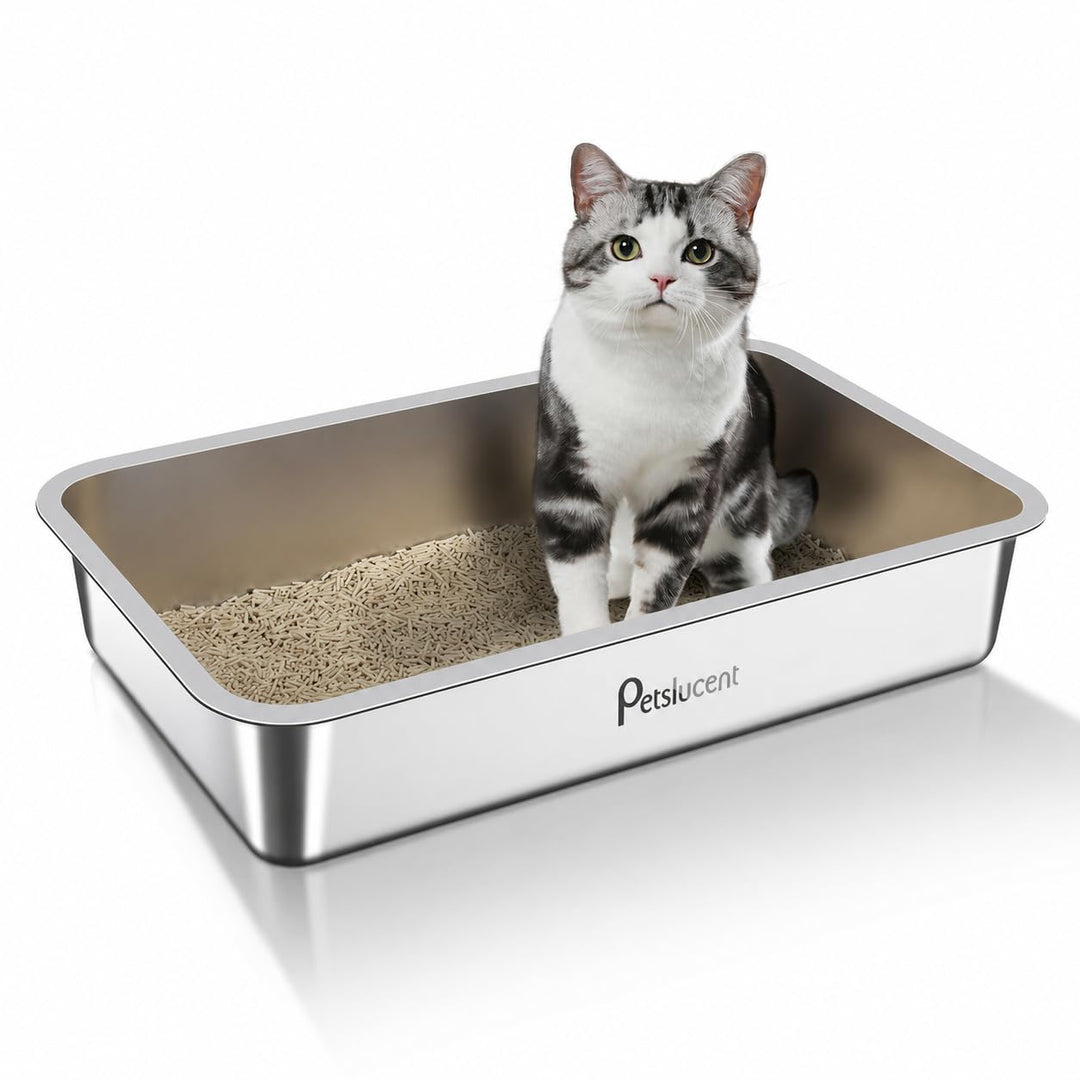 Katzentoilette aus Edelstahl: Extra grosse Metall-Liter-Box – leicht zu reinigende hohe Seite Katzen