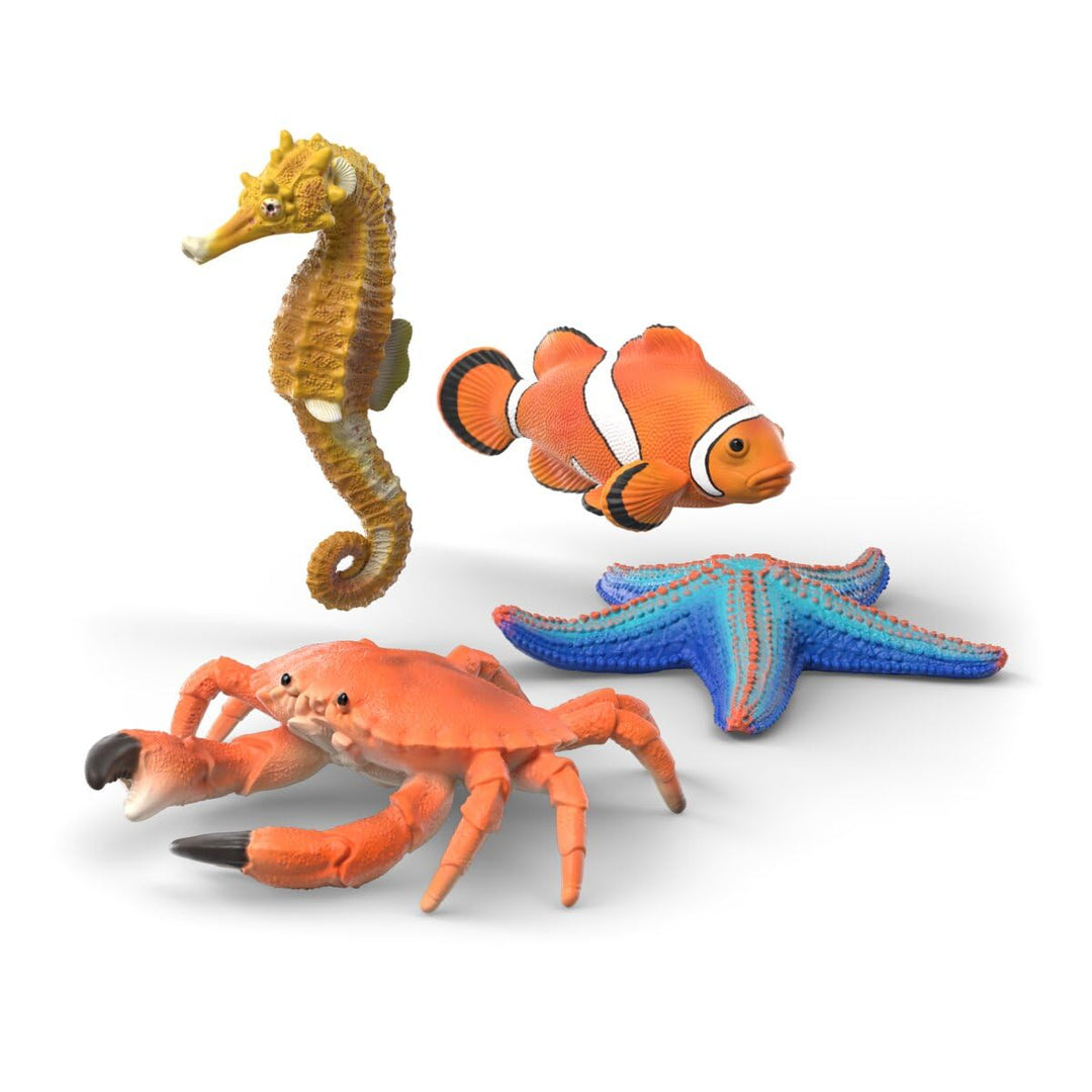 Schleich WILD Life | Meerestiere Entdecker Set 42742 | 4 Teile | detailgetreues Ozean Spielset mit S