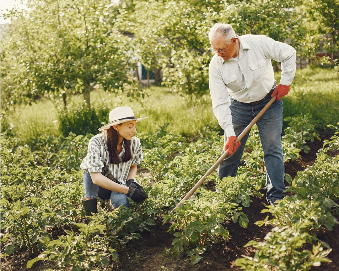 All4All Schaufelstiel 150cm, Holzgrif, Spatenstiel,Ersatz Spaten,Holz Stiel aus Buche,Ersatzstiel,Ga