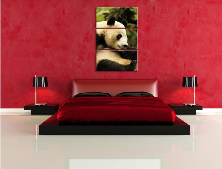 Pixxprint niedlicher Pandabär als Leinwandbild/Grösse: 3 Teilig (120x80) cm/Wandbild/Kunstdruck/fert