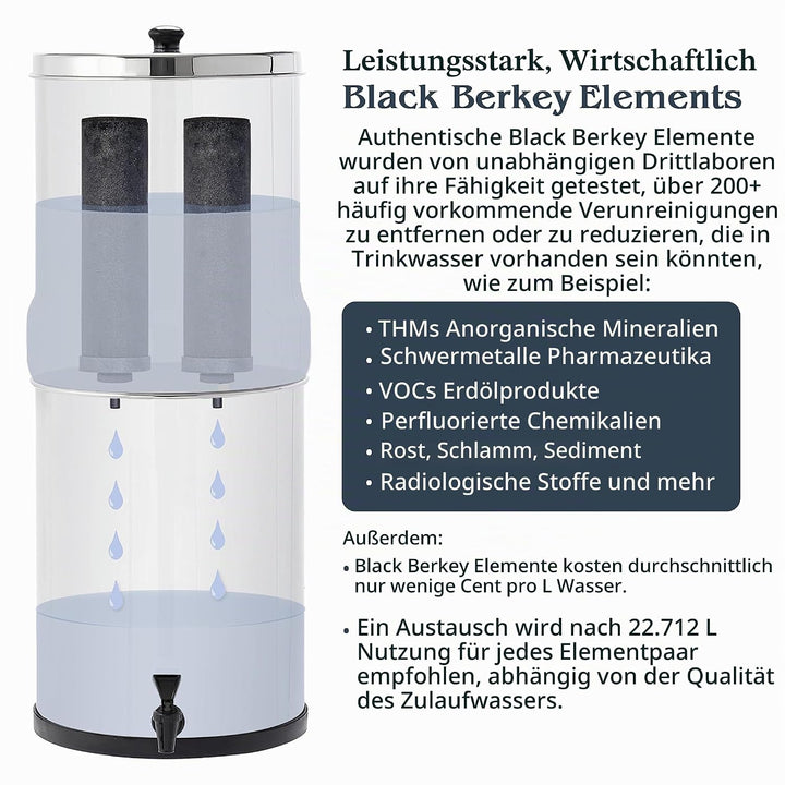 Berkey BK4X2-BB Big Berkey Stainless Steel Water Filtration System with 2 Black Filter Elements by