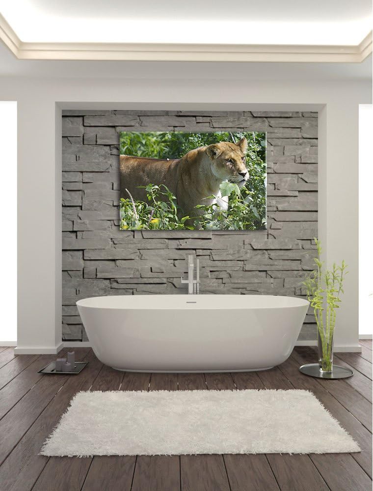 Pixxprint wachsame Löwin Leinwand, XXL riesige Bilder fertig gerahmt mit Keilrahmen, Kunstdruck auf