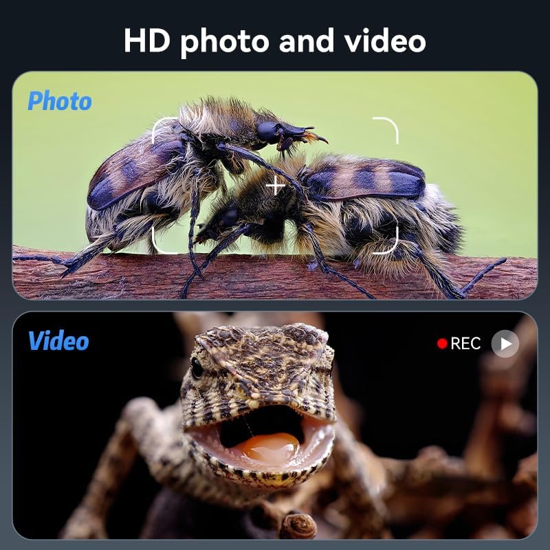 Ashfly LCD Digital Mikroskop für Münzen, 7 Zoll 1080P USB Mikroskop, 50X-500X Auflösung, Microscope