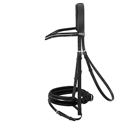 Passier Trense Apollo Lackleder havanna mit Messing oder Edelstahl Messing Pony, Messing Pony