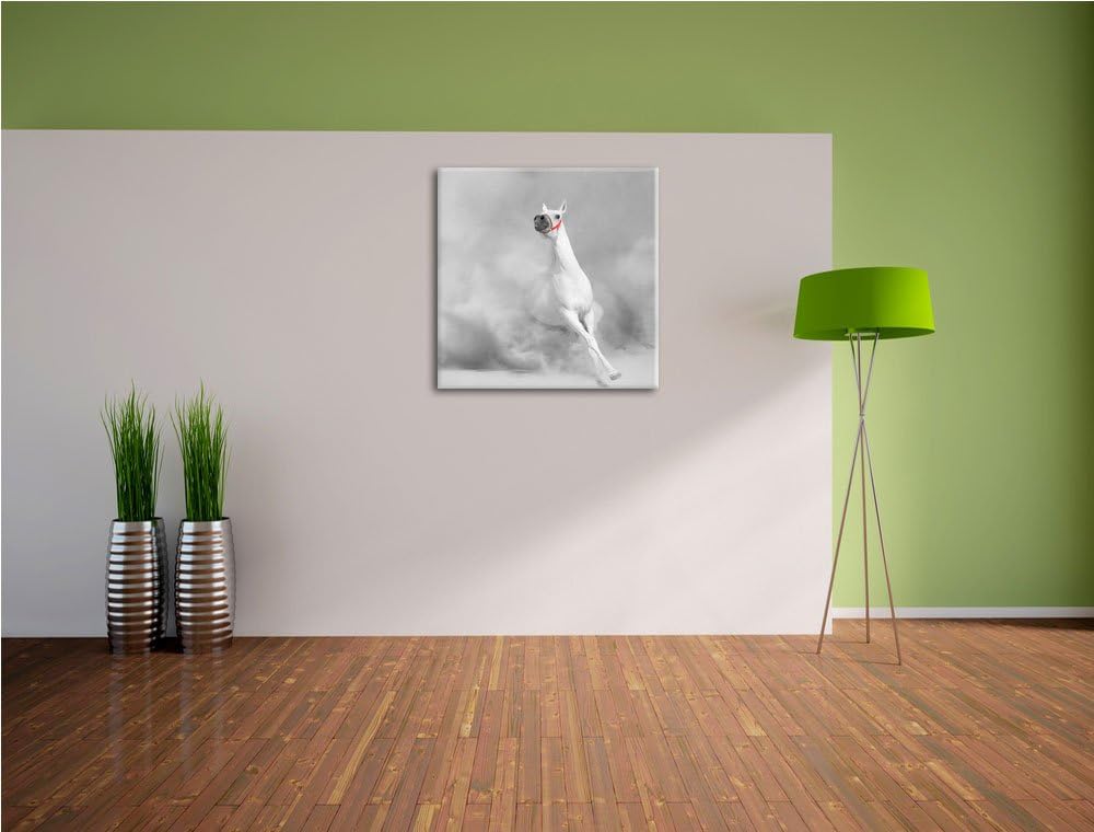 Pixxprint weisser Hengst in der Wüste als Leinwandbild/Grösse: 70x70 cm/Wandbild/Kunstdruck/fertig b