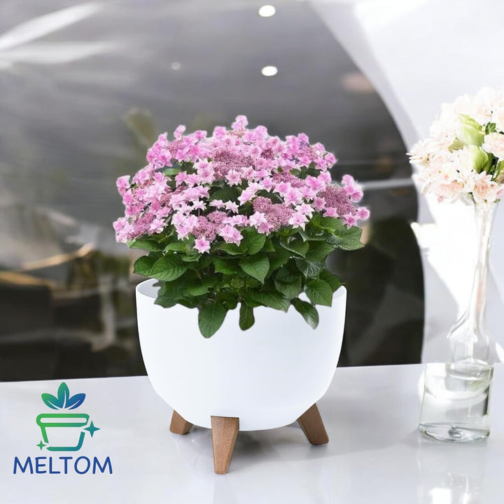 MELTOM Blumentopf mit Füssen aus Kunststoff Schale Rund mit Einsatz Kräutertopf (Weiss, M - 29 cm) W