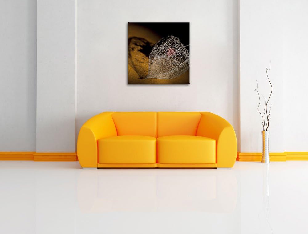 Schatten einer Physalis, Format: 70x70 auf Leinwand, XXL riesige Bilder fertig gerahmt mit Keilrahme