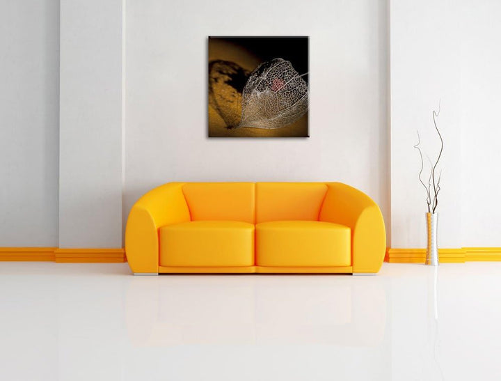Schatten einer Physalis, Format: 70x70 auf Leinwand, XXL riesige Bilder fertig gerahmt mit Keilrahme
