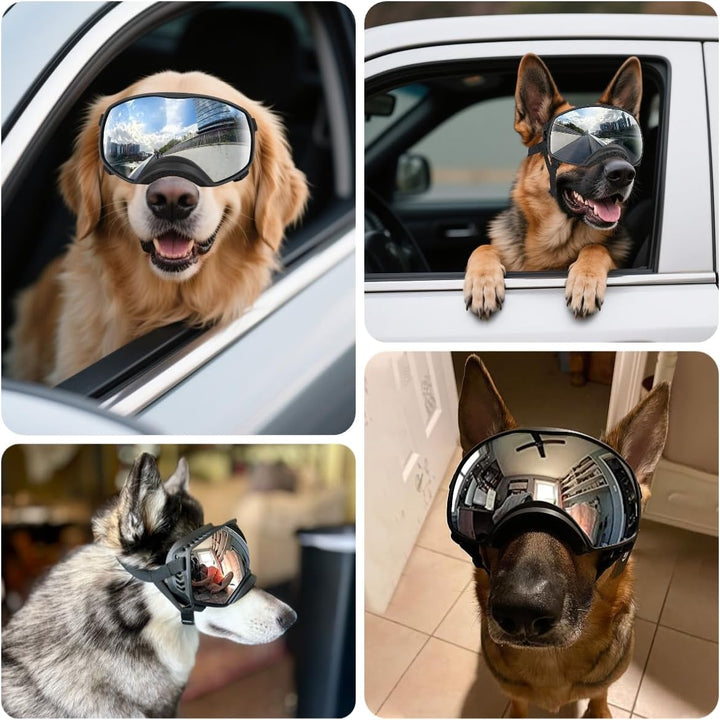 Hundebrille Winddichte Hunde Sonnenbrille Hund Schutzbrille mit Verstellbare Band Geeignet für Mitte