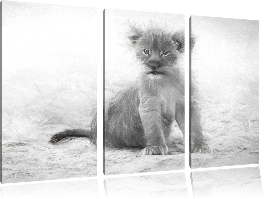 Pixxprint Verlassenes Löwenbaby als Leinwandbild/Grösse: 3 Teilig (120x80) cm/Wandbild/Kunstdruck/fe