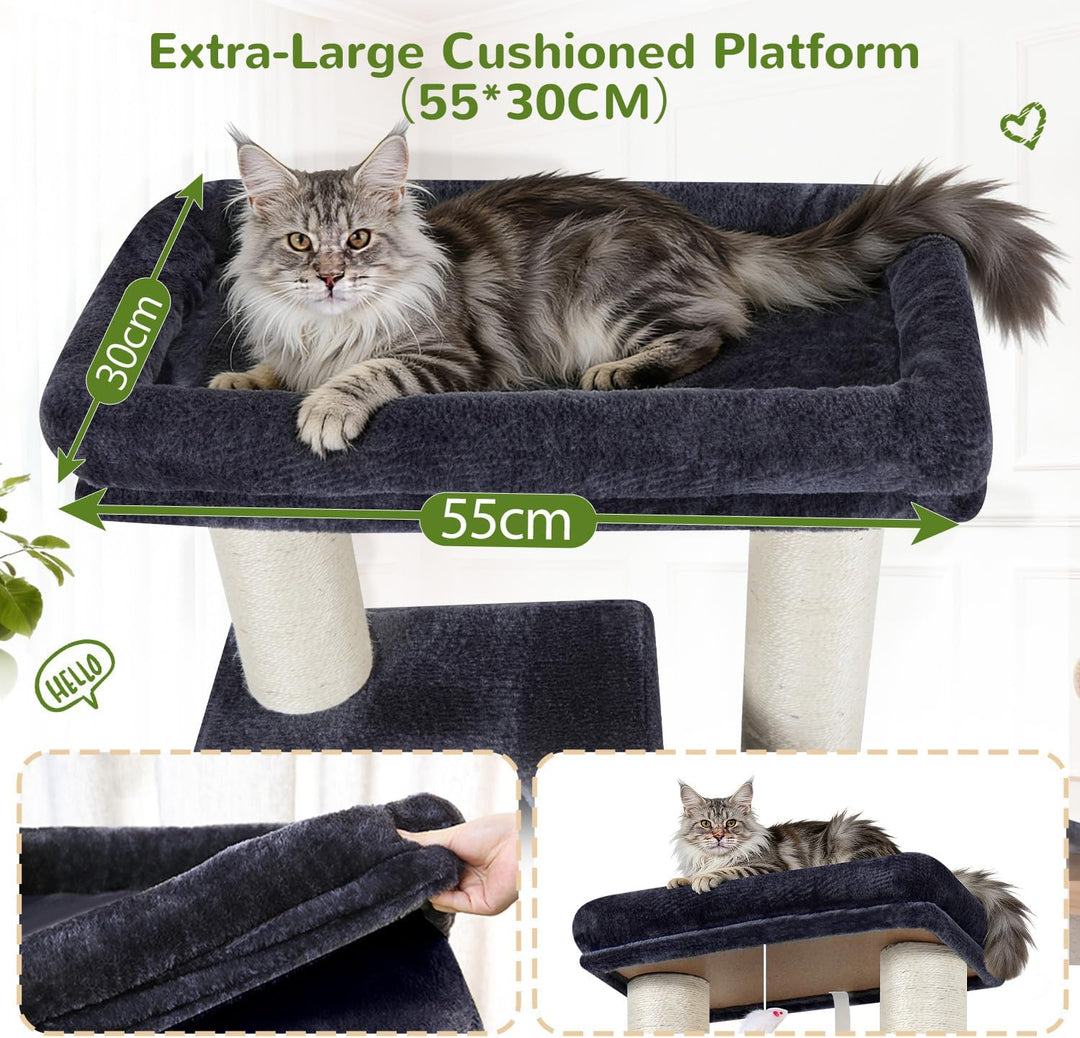 Globlazer Kratzbaum Dicke Stämme 11CM für Grosse Katzen mit 2 Extragross Katzenhaus 50*35*30cm, Ausr