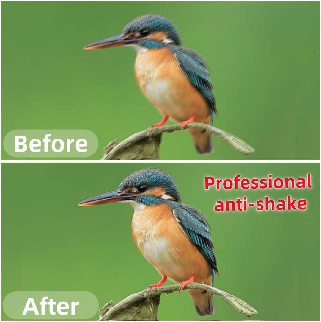 Pixel TW283-DC0 Kabellose Fernauslöser Funkausloeser Timer Intervalometer Kompatibel mit Nikon D3 D4