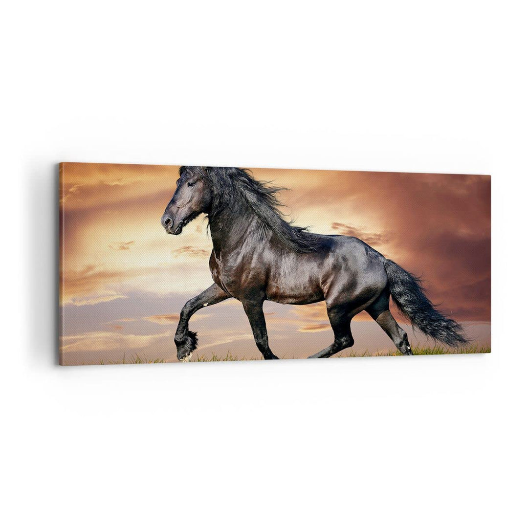 Panorama Bilder auf Leinwand 100x40cm Leinwandbild Pferd Tier Wiese Gross Wanddeko Bild Schlafzimmer