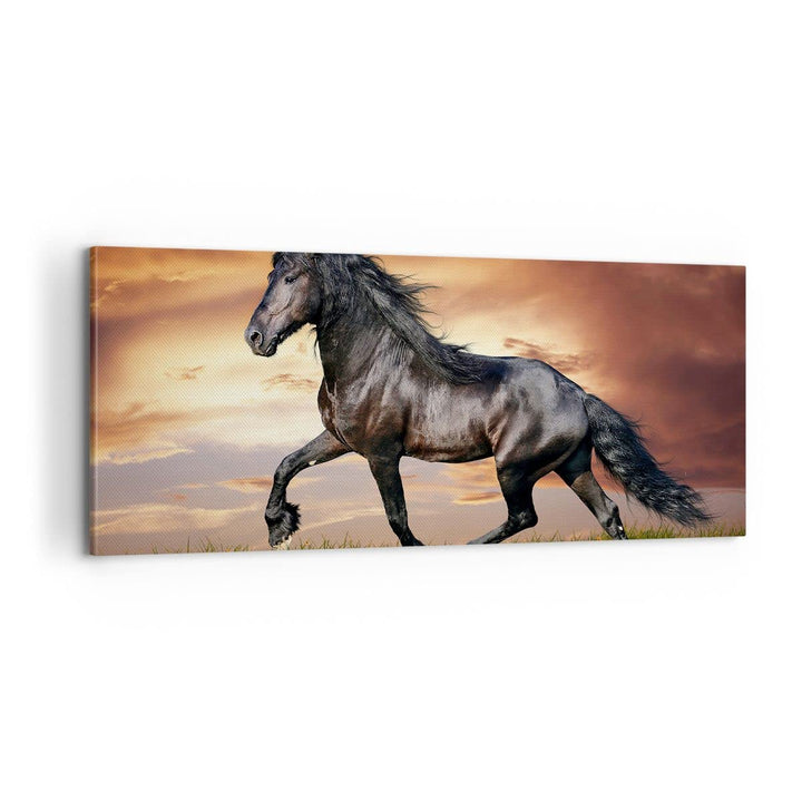 Panorama Bilder auf Leinwand 100x40cm Leinwandbild Pferd Tier Wiese Gross Wanddeko Bild Schlafzimmer