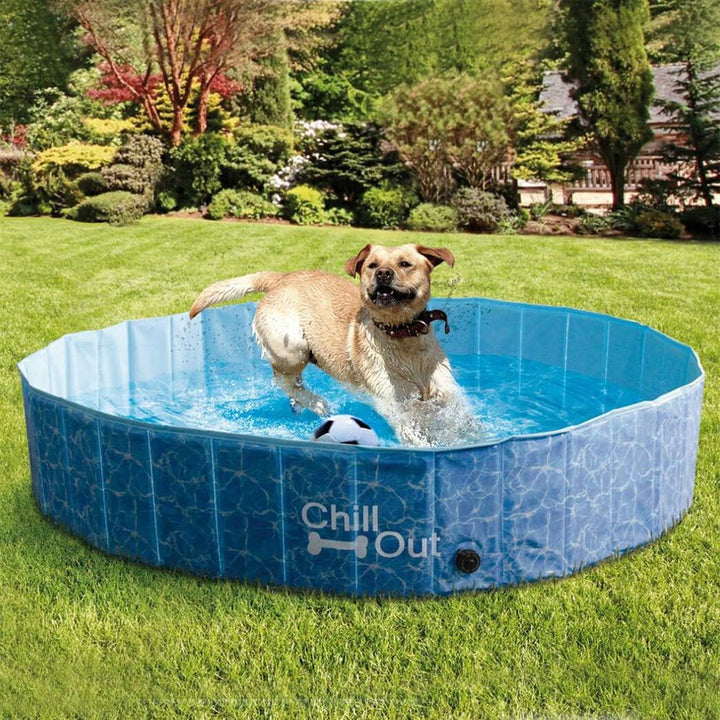 All for Paws 8002 Chill Out - Splash und Fun - Hundepool gross - 160 cm