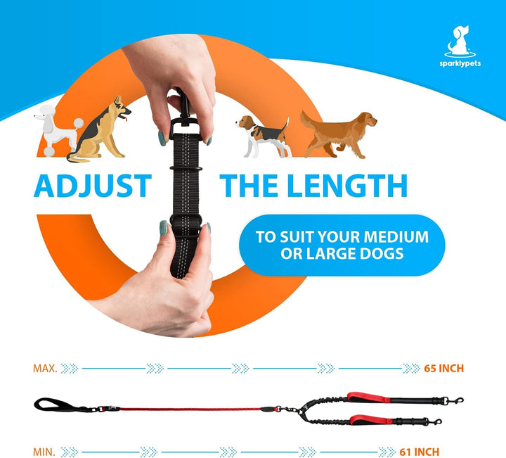 Hundeleine für 2 Hunde mit Bungee Verlängerung für Grosse und Mittelgrosse Hunde mit Ruckdämpfer | R
