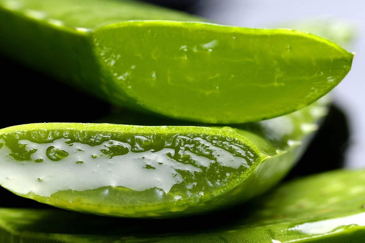 TABAIBA Aloe vera creme and gel Packung Tabaibaloe Feuchtigkeitscreme Aloe Vera und Duschgel Aloe Ve