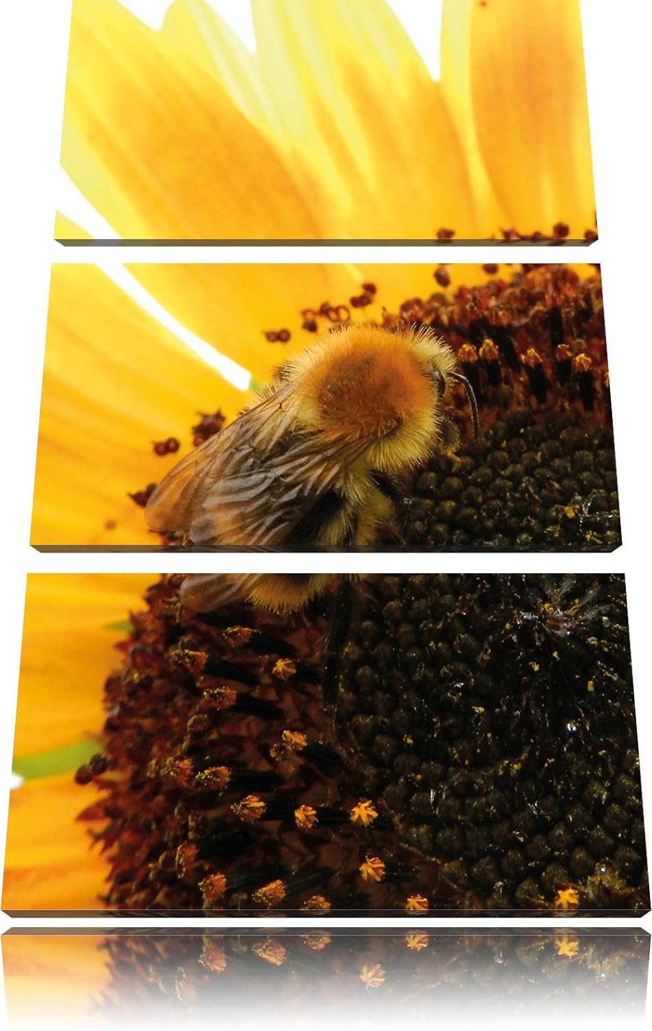 Pixxprint Biene auf Sonnenblume als Leinwandbild - Grösse: 3-Teilig (120x80cm) - Wandbild - Kunstdru
