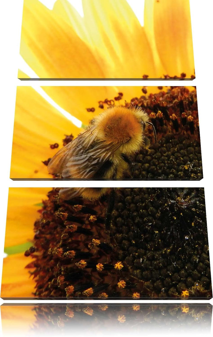 Pixxprint Biene auf Sonnenblume als Leinwandbild - Grösse: 3-Teilig (120x80cm) - Wandbild - Kunstdru