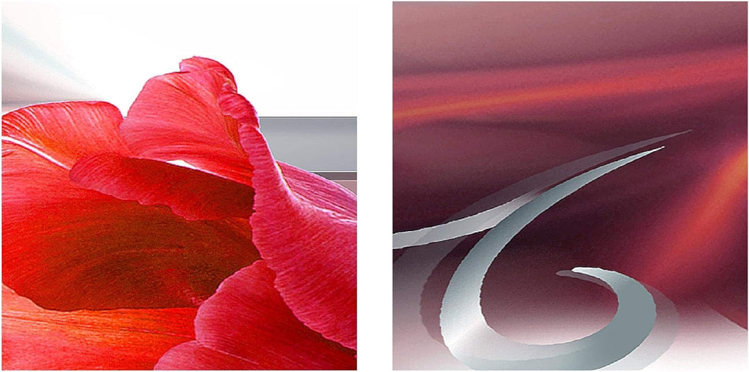 Runa Art Bild Wohnzimmer Schlafzimmer Blumen Tulpen 5 Teilig Abstrakt Grau Rot Wandbilder auf Vlies