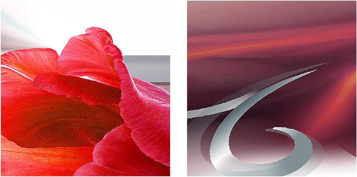 Runa Art Bild Wohnzimmer Schlafzimmer Blumen Tulpen 5 Teilig Abstrakt Grau Rot Wandbilder auf Vlies