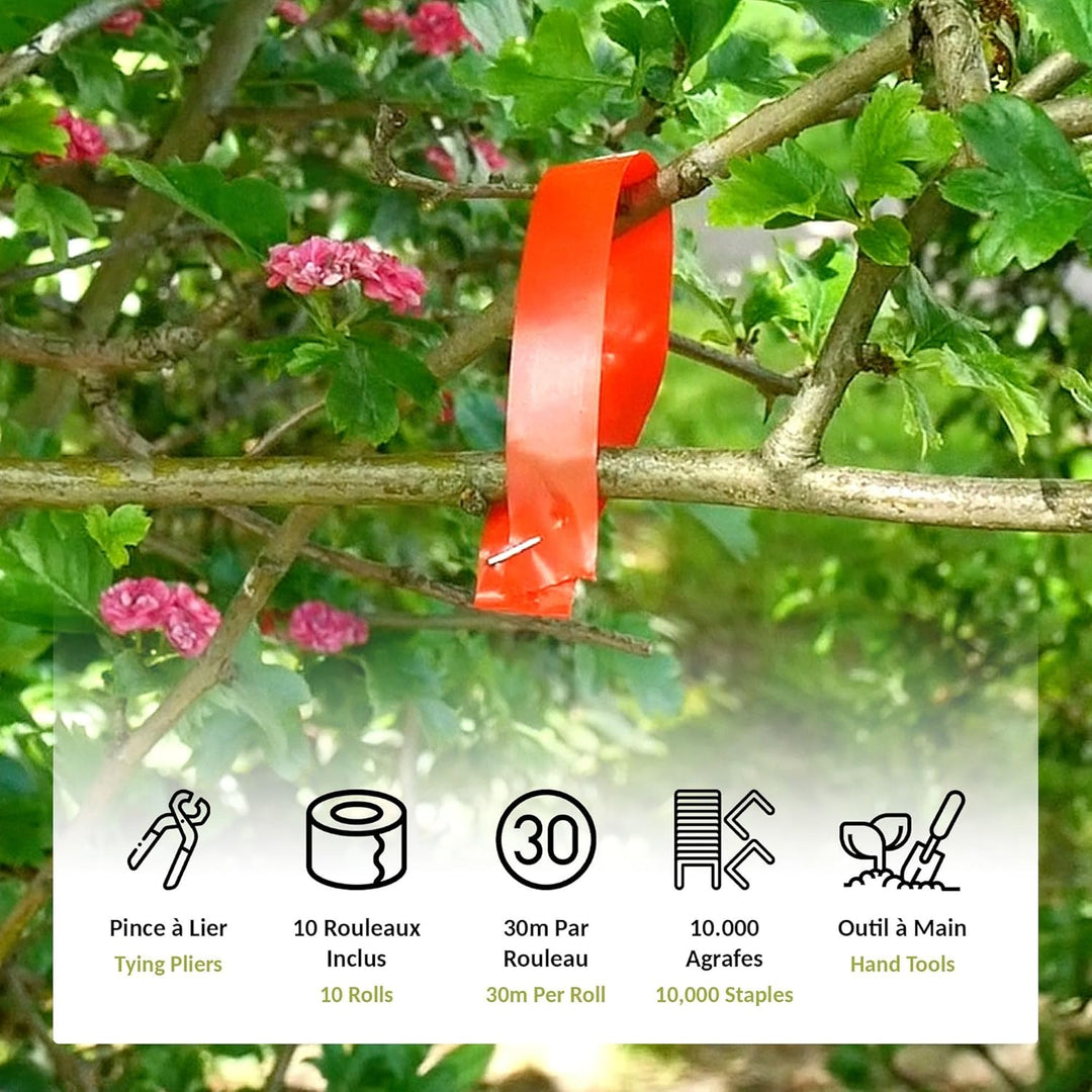 FISHTEC Bindezange – Gartenwerkzeug – zum Binden von Pflanzen, Zweigen, Weinen, Obstbäume, Gemüse, B